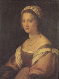 Andrea del Sarto Portrait of a Young Woman (san05) France oil painting art